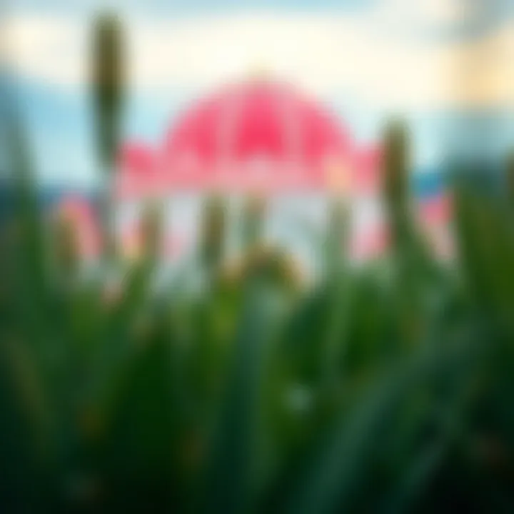 Magnificent Exploring Beauty Cam Mod APK: Insights and Considerations