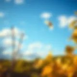 Exploring ibis Paint on PC: A Free Alternative for Artists Introduction