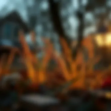 Exploring Ibis Paint X Mod for PC: A Comprehensive Guide Introduction