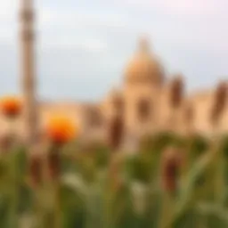 Exploring Pixllr: A Comprehensive Guide to Mobile Enhancements Introduction