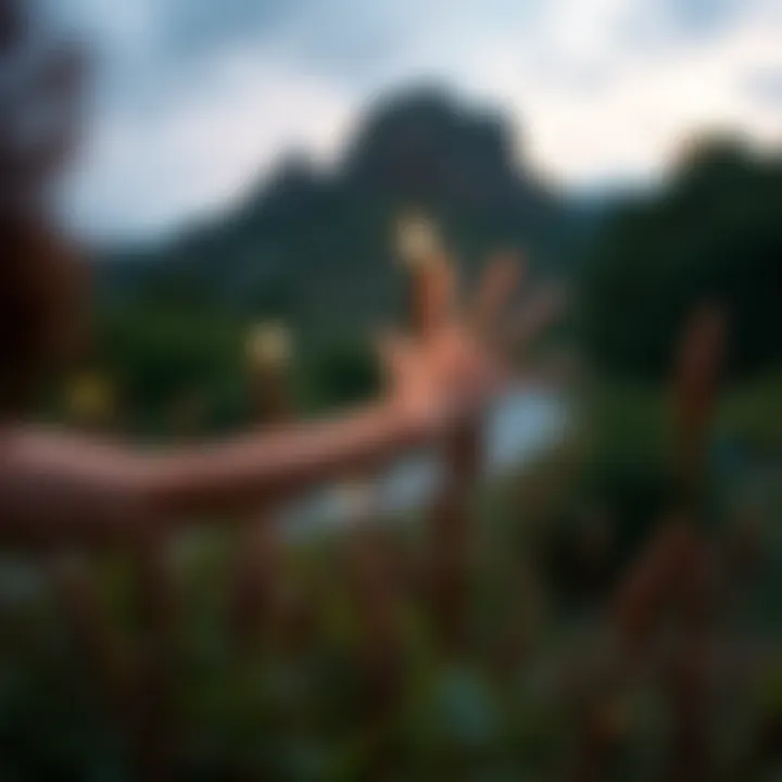 Notable Exploring the Capabilities of Muse_Dash v5.0.0.xapk: A Comprehensive Guide
