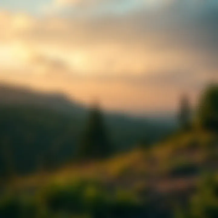 Exploring the Capybarago Modded APK Landscape Summary