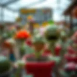 Exploring the Landscape of Plants vs Zombies Niejo: An Analytical Perspective Introduction
