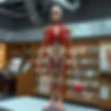 Visible Body Human Anatomy Atlas: Complete Guide for PC Users Introduction